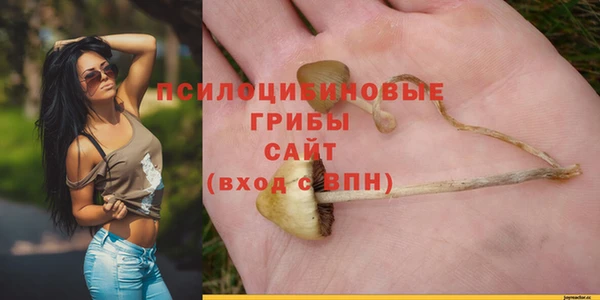 ПСИЛОЦИБИНОВЫЕ ГРИБЫ Алзамай