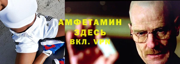стаф Алексин