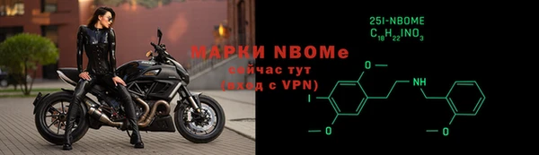 стаф Алексин