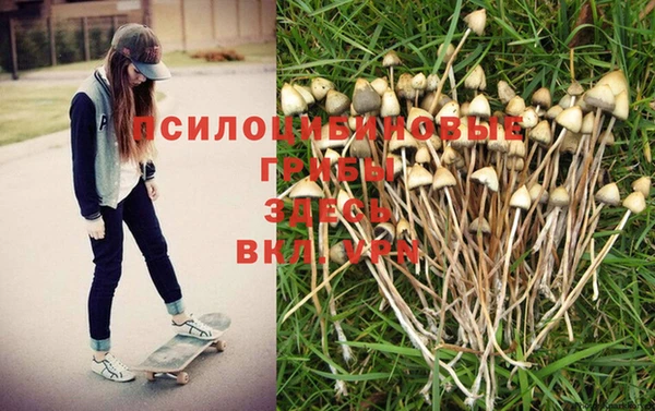 ПСИЛОЦИБИНОВЫЕ ГРИБЫ Алзамай