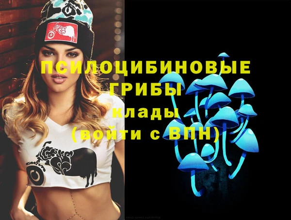 ПСИЛОЦИБИНОВЫЕ ГРИБЫ Алзамай