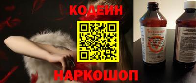 крисы Кулебаки