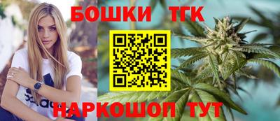 крисы Кулебаки