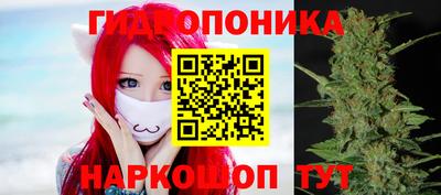 крисы Кулебаки