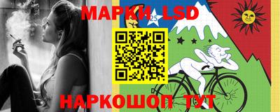 крисы Кулебаки