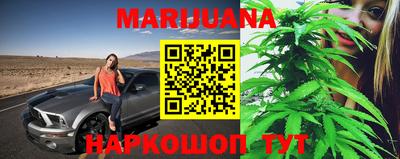 крисы Кулебаки