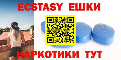 крисы Кулебаки