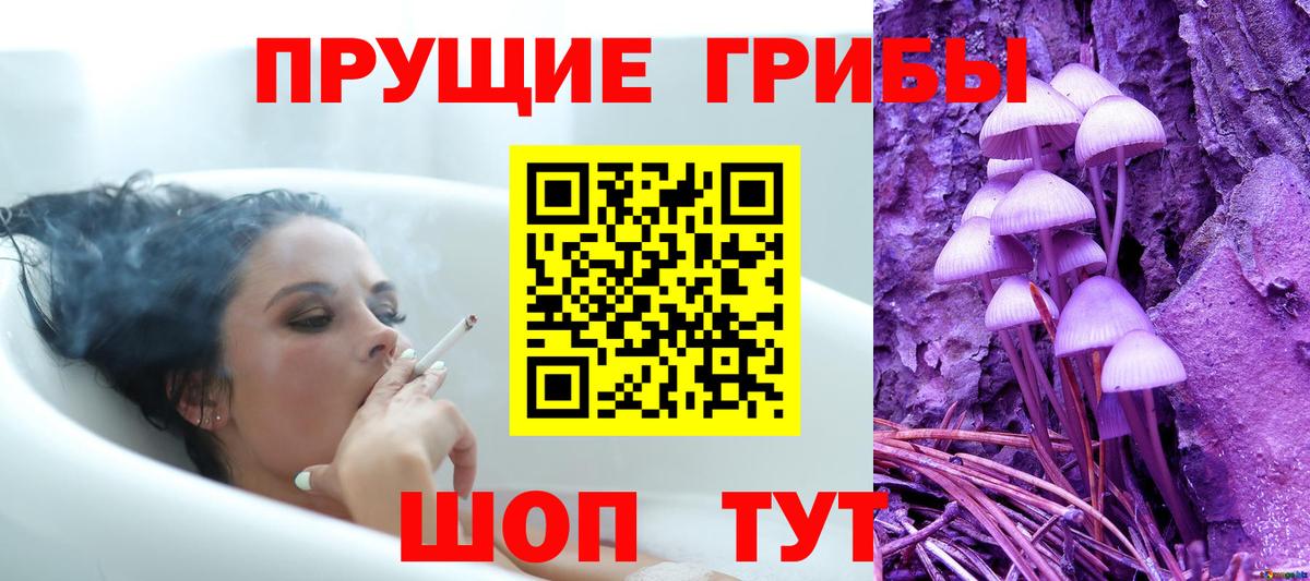 Красноярск  наркотики  Вход с VPN  Псилоцибиновые грибы Psilocybe 