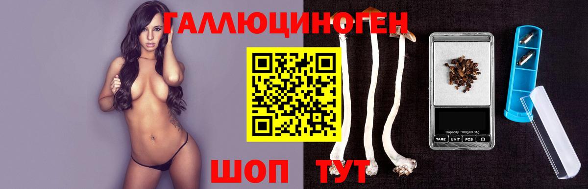 Галлюциногенные грибы Cubensis Красноярск